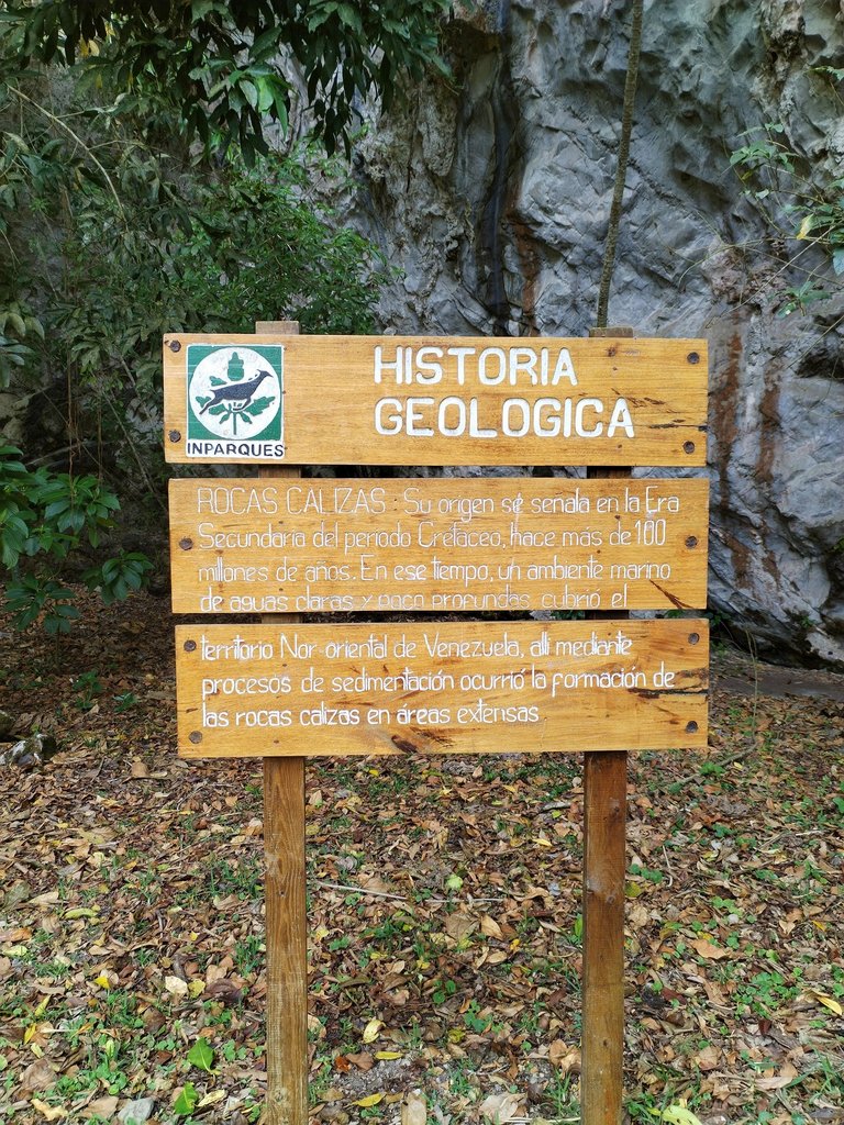 IMG_20250417_112837.jpg