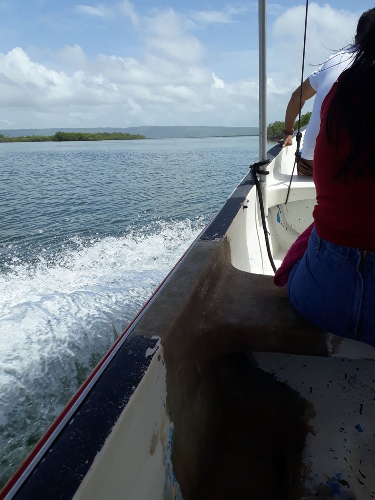 20180927_105457.jpg