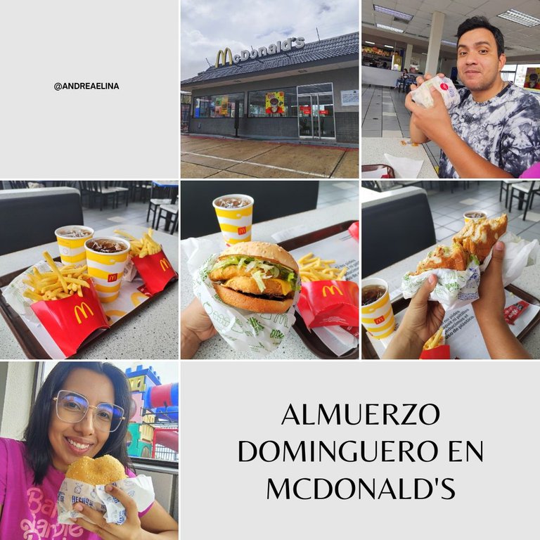 Grey White Minimalist Picnic Collage Instagram Post.jpg