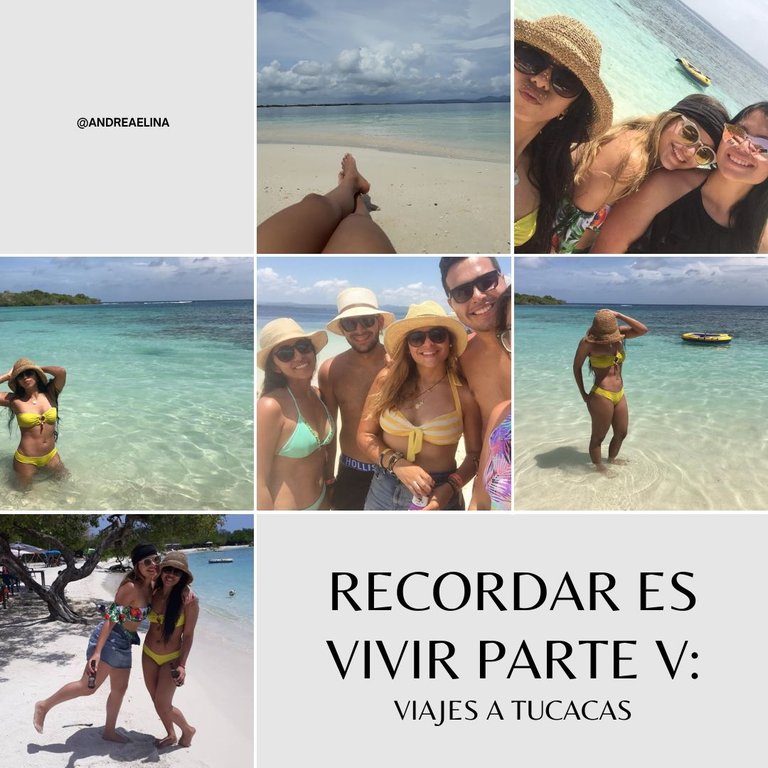 Grey White Minimalist Picnic Collage Instagram Post.jpg