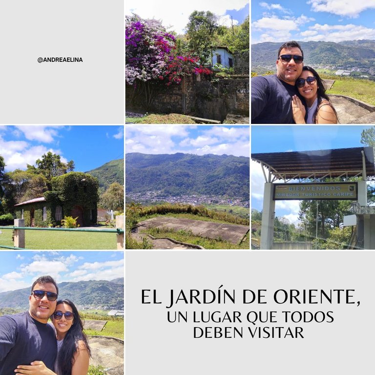 Grey White Minimalist Picnic Collage Instagram Post.jpg