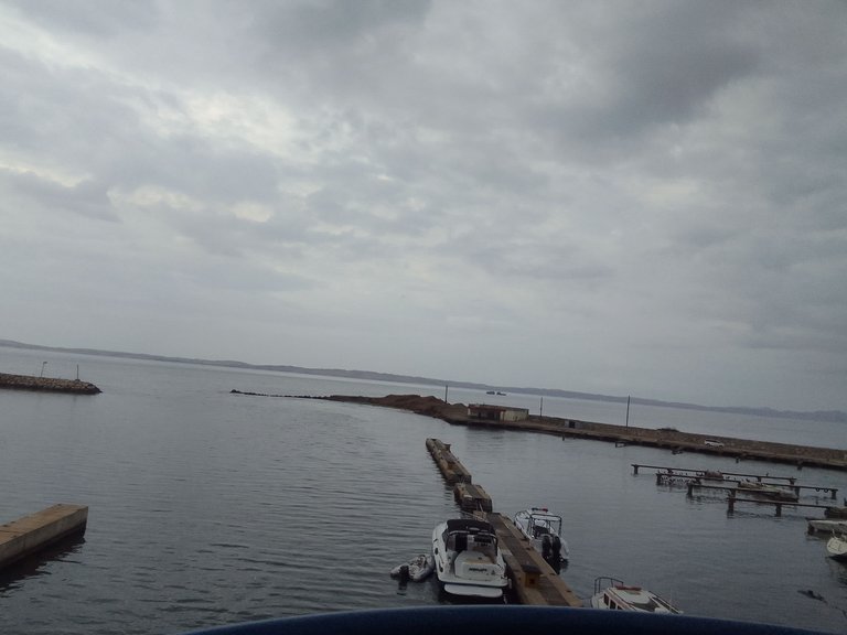 IMG_20250423_165620.jpg