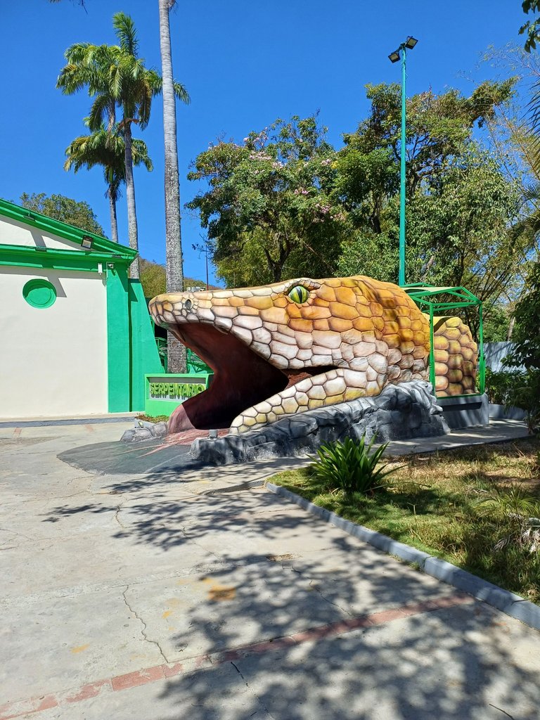 20250215_105555.jpg
