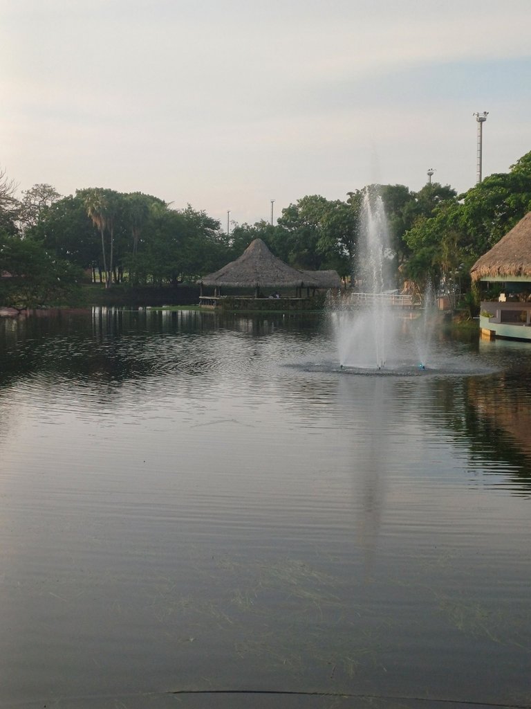20250503_180519.jpg