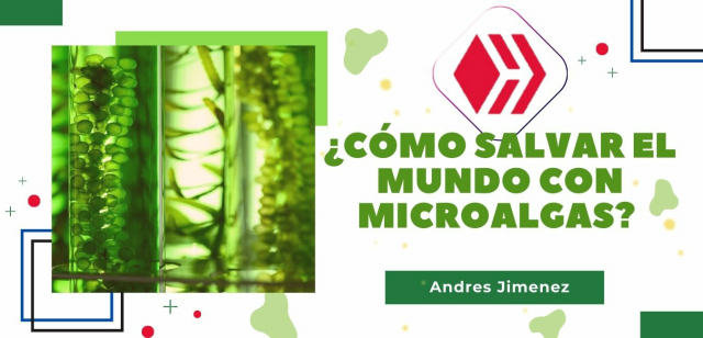 ¿Cómo salvar el mundo con microalgas (1).png