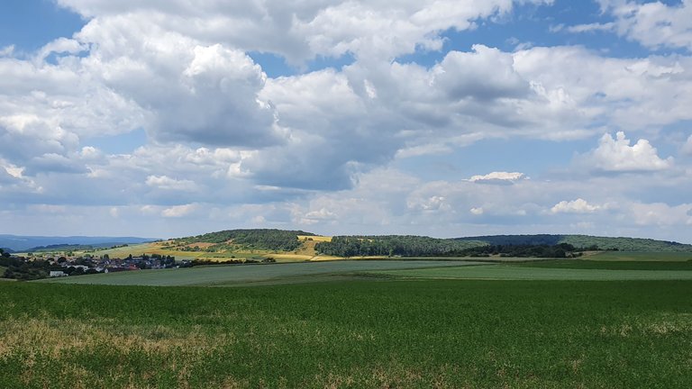 20230615_135054.jpg