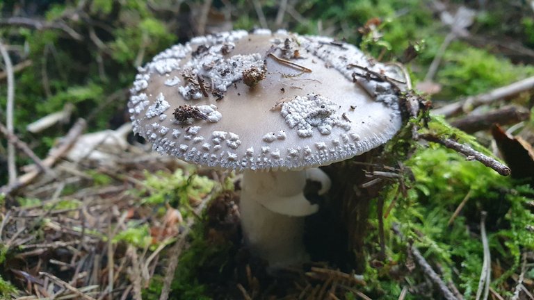 20230815_090734.jpg