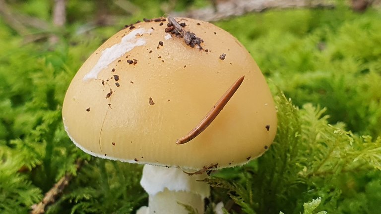 20230803_154012.jpg