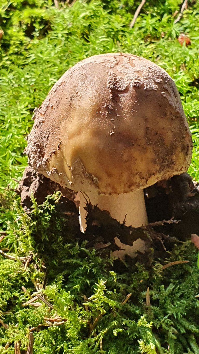 20230810_152003.jpg