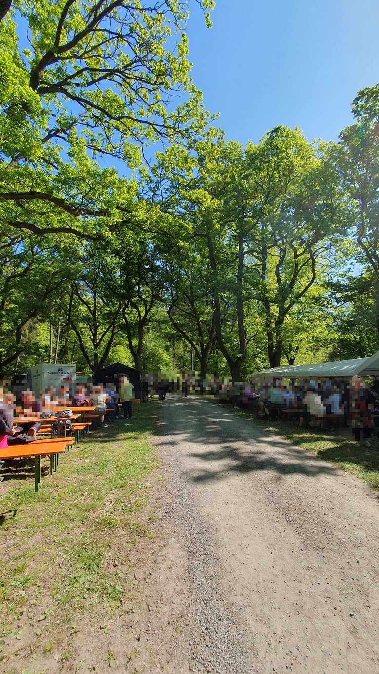roellbach1stmay2k25.jpg