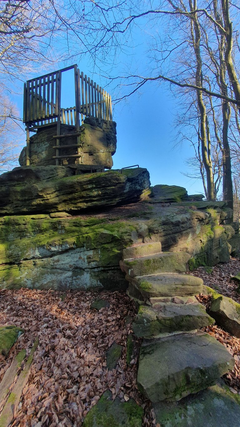 20250319_154253.jpg