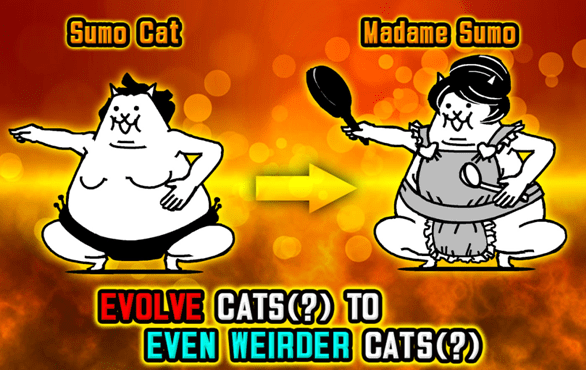 https://goocats.blogspot.com/2014/03/battle-cats-basic-cat-evolution.html