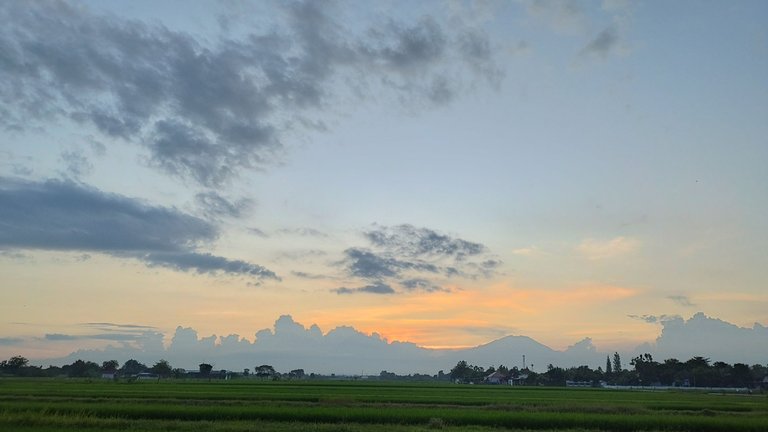 IMG_20250426_172843.jpg