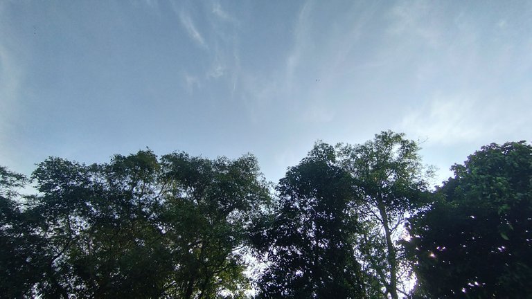 IMG_20250503_073652.jpg