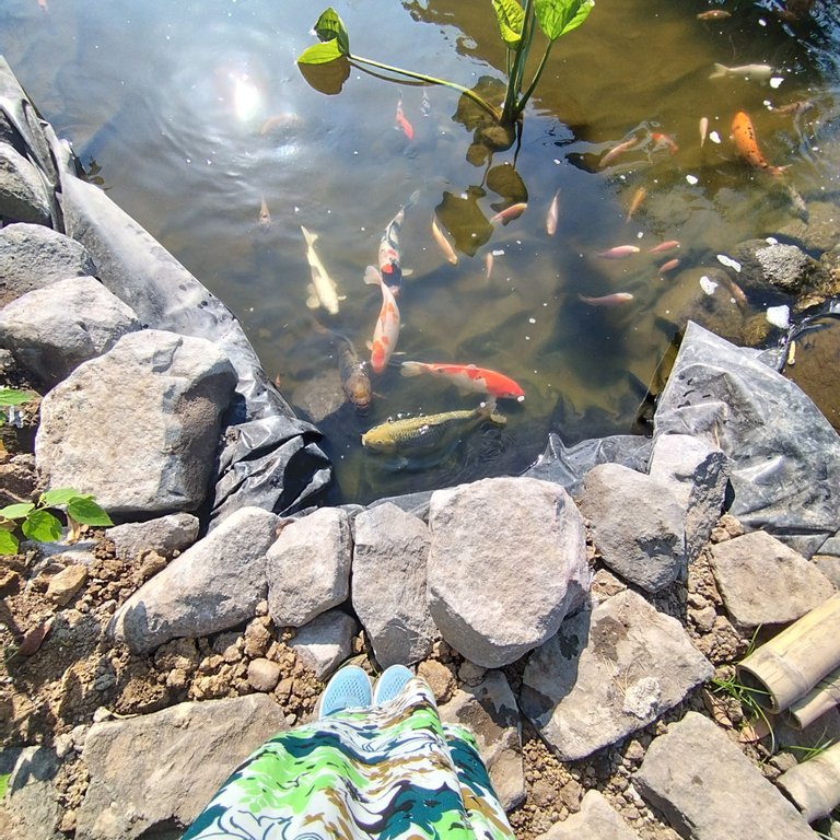IMG_20250802_083330.jpg