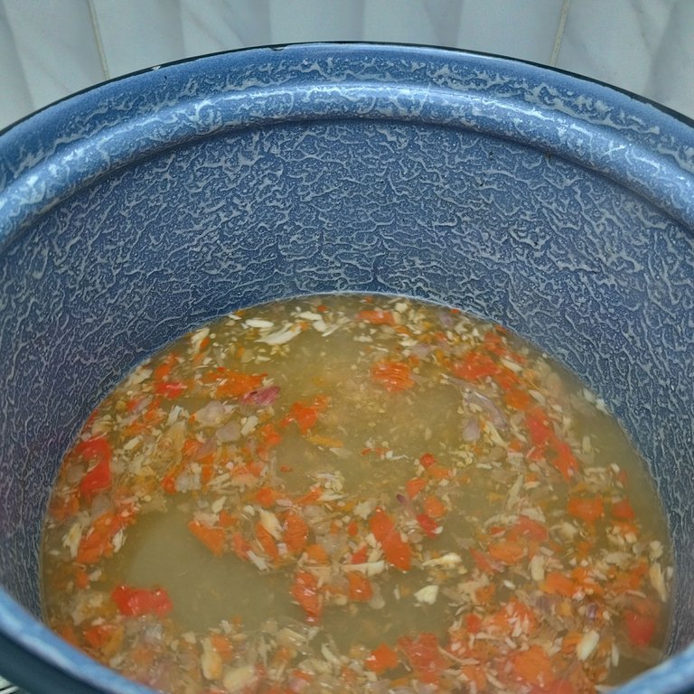 IMG_20250708_104126.jpg