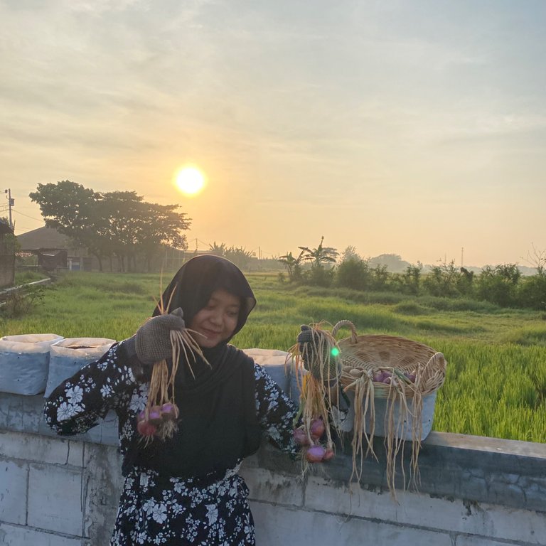 IMG_8548.jpeg