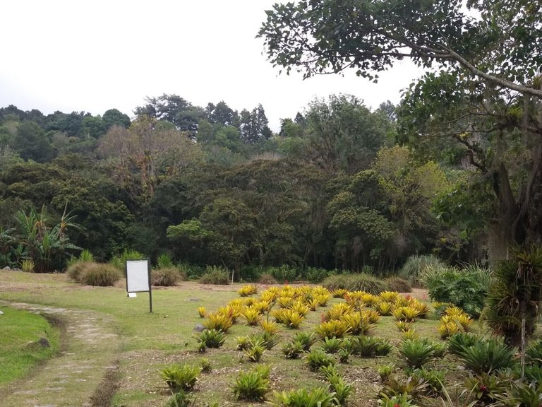 IMG_20250611_152729.jpg