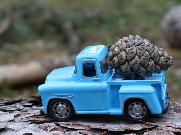 truck.jfif