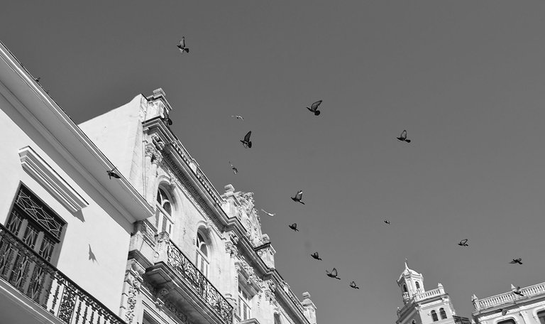 city (2).jpg
