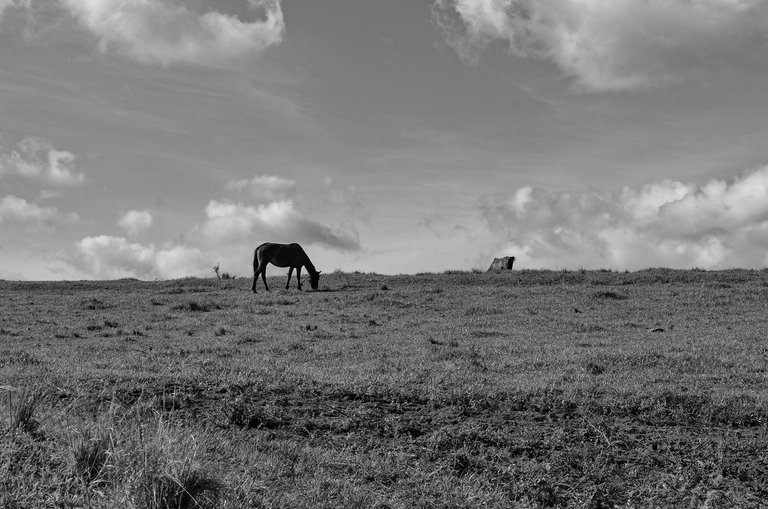countryside (1).jpg