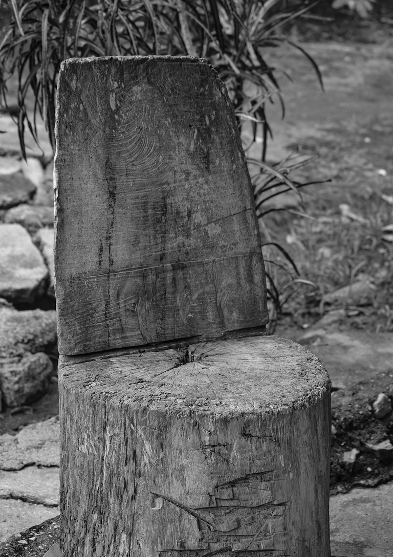 viaje 07.jpg
