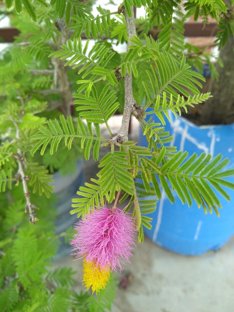 IMG_20220828_164136426.jpg