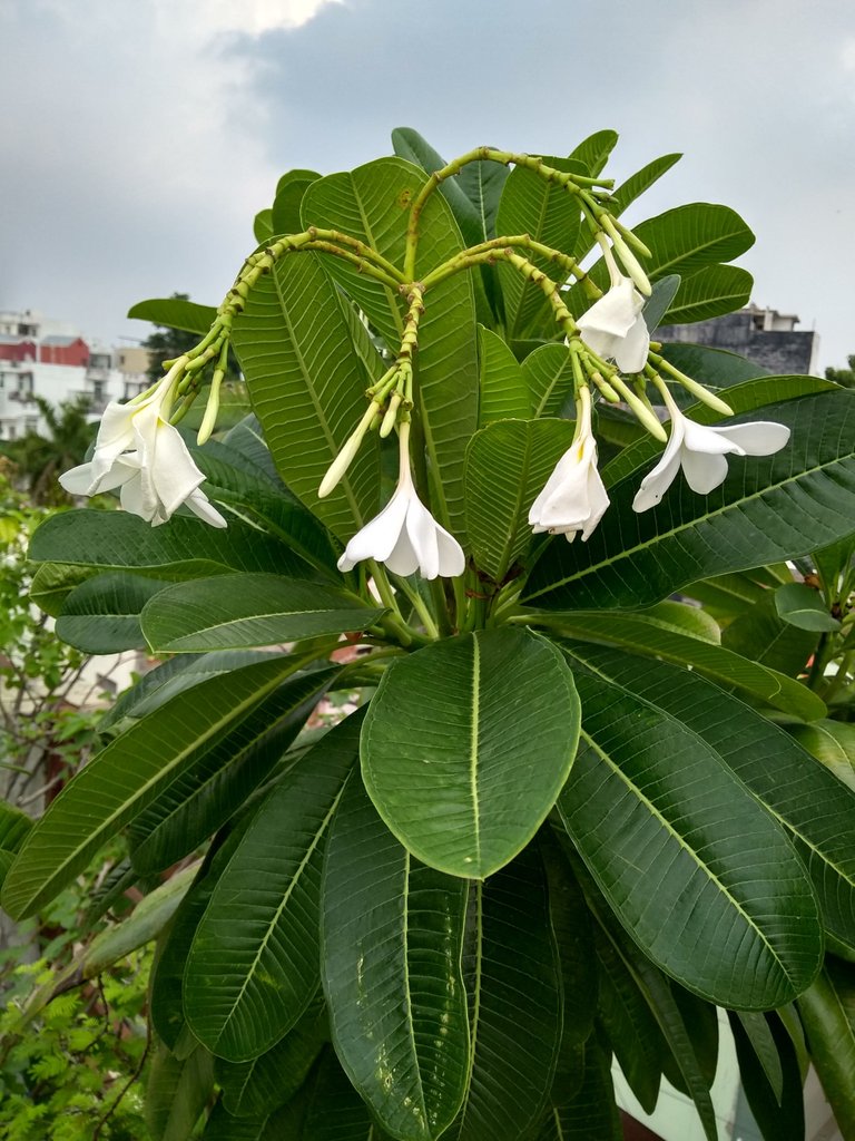 IMG_20220828_164101675_HDR.jpg