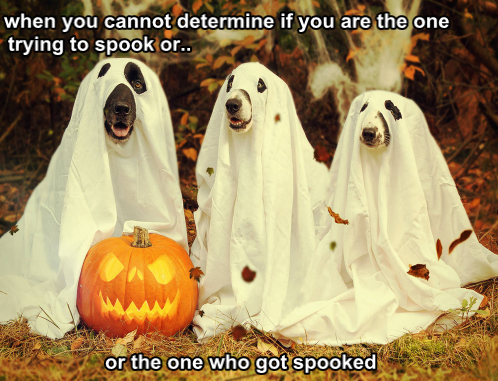 spook.jpg