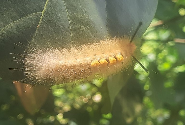 20250723_120401.jpg