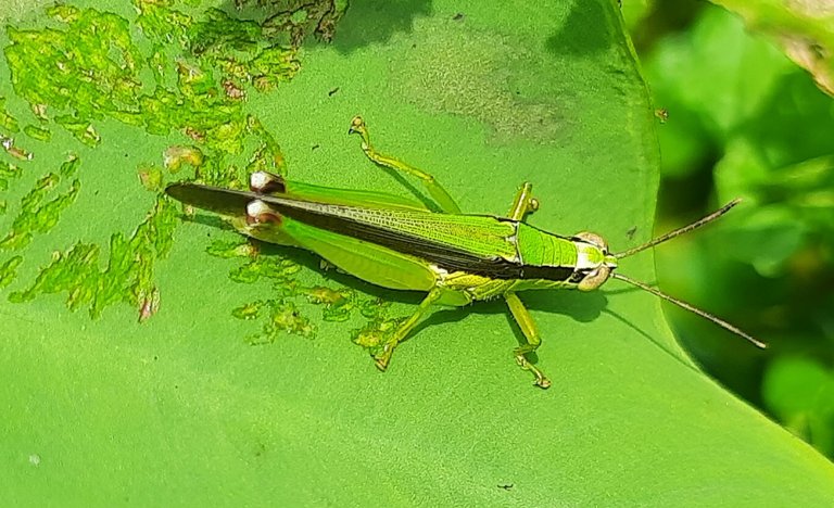 20240814_121117.jpg