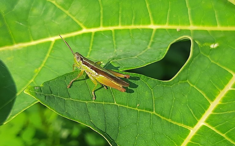20240621_155957.jpg
