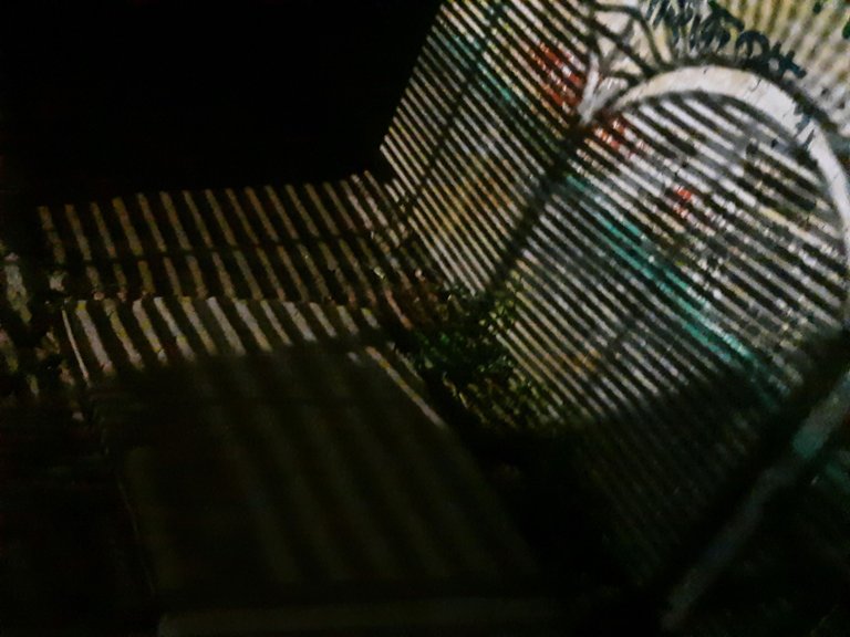 20250829_215846.jpg