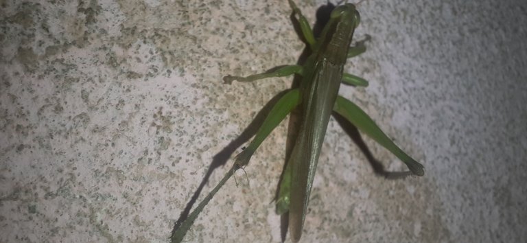 20240701_002905.jpg