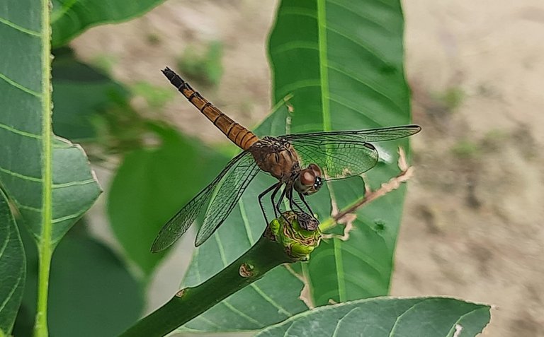 20240710_131046.jpg