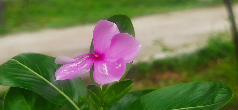 20240615_131913.jpg