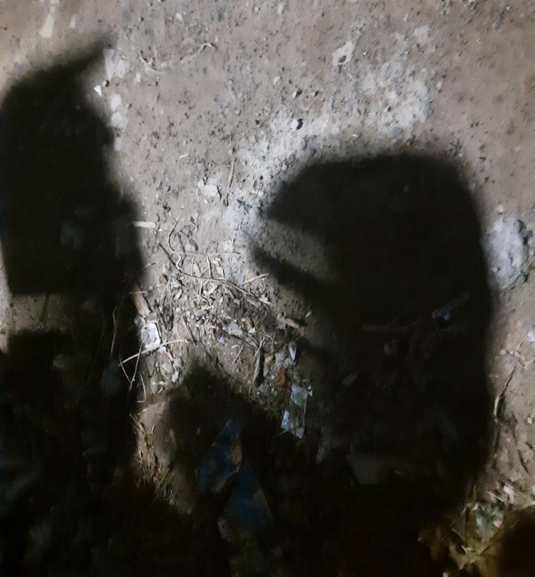 20250829_210902.jpg