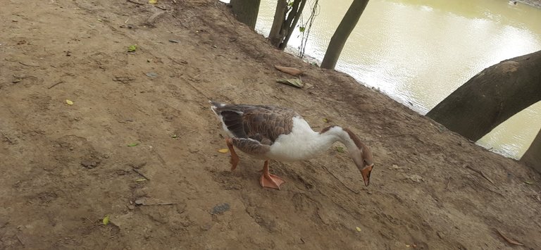 20240526_102103.jpg