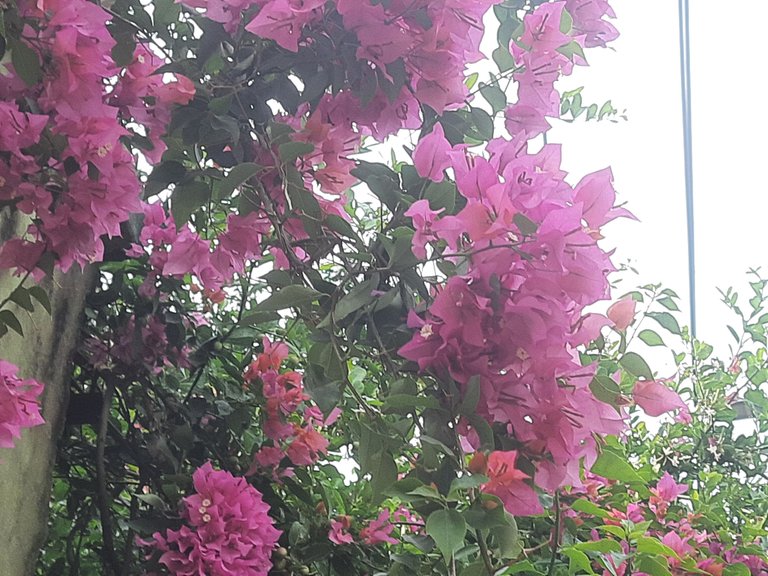 20250430_145710.jpg