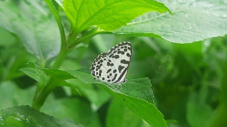 20240704_125125.jpg