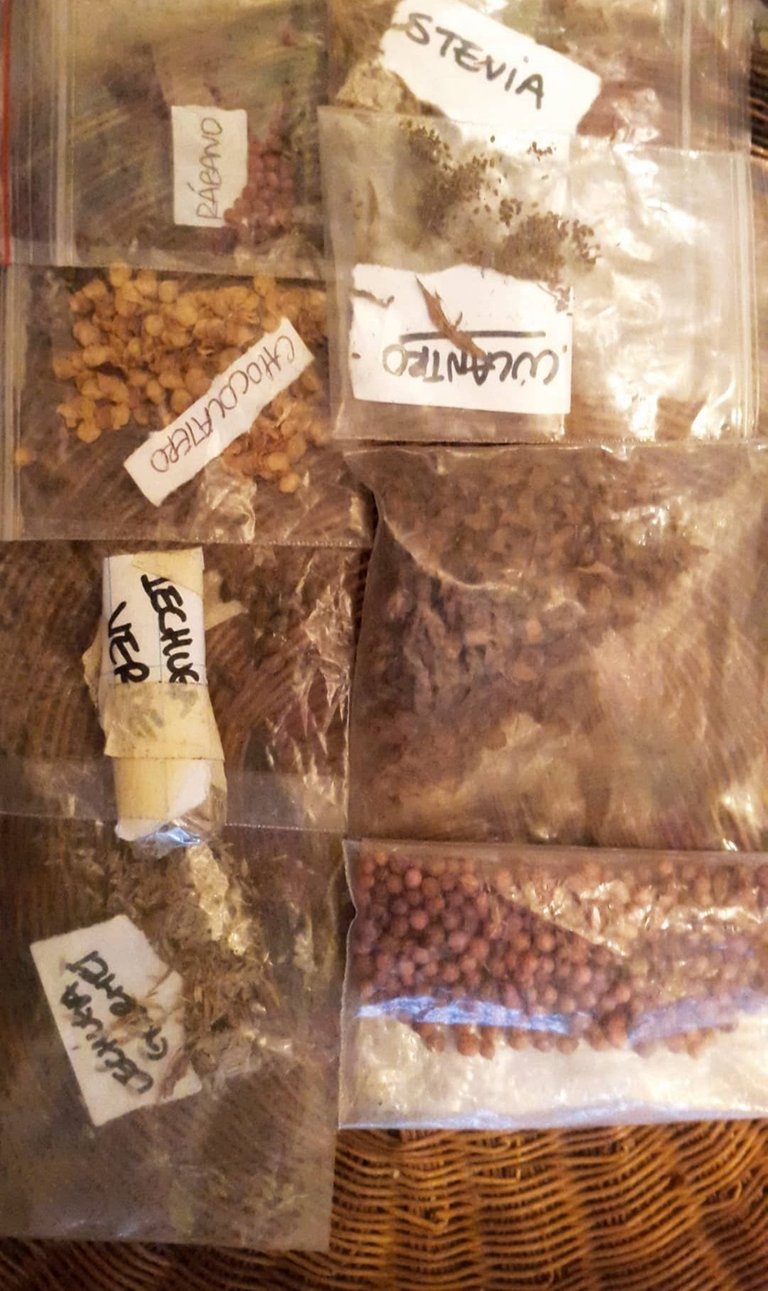 Seeds for planting