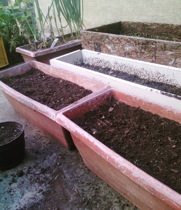 My pots for sow, preparing before the seeds