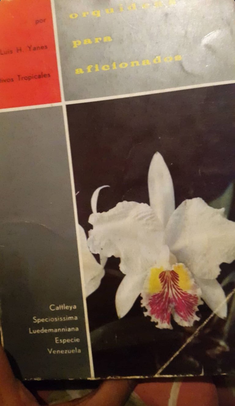 Learning with books about orchids
