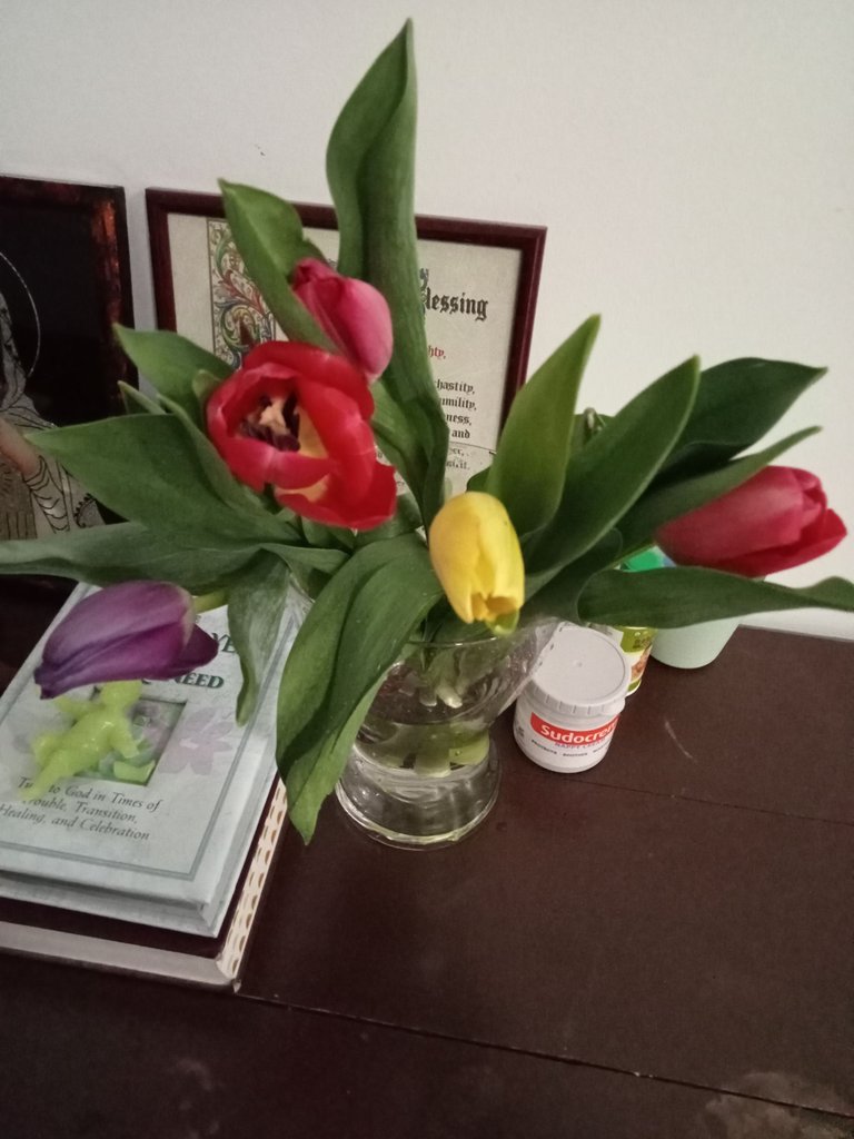 IMG20230214230155.jpg