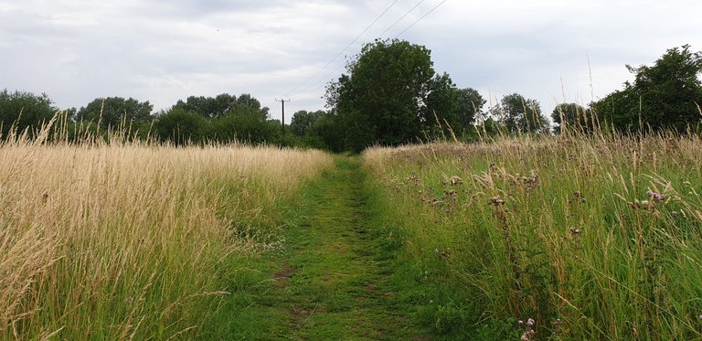 20230708_095315.jpg