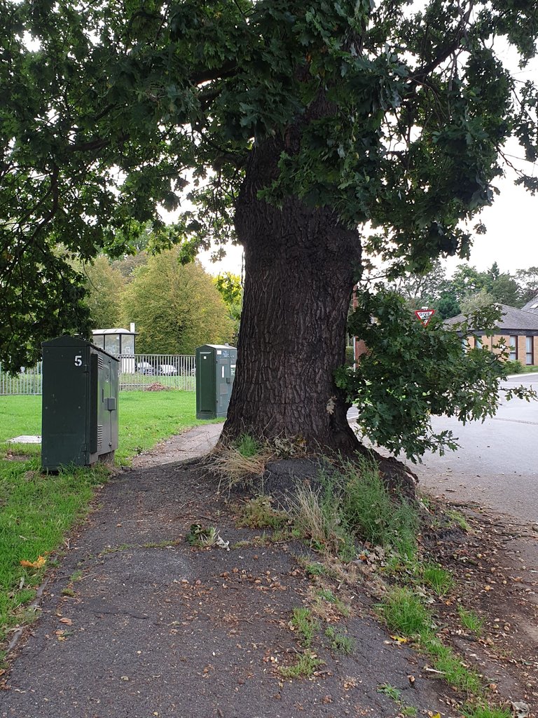 20231001_083414.jpg