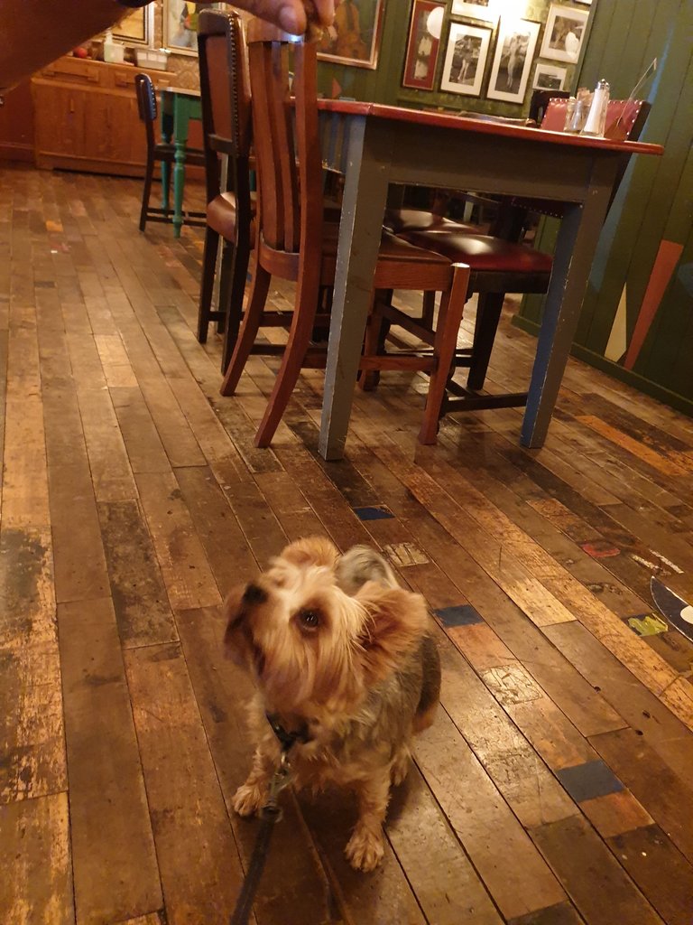 20230923_092232.jpg