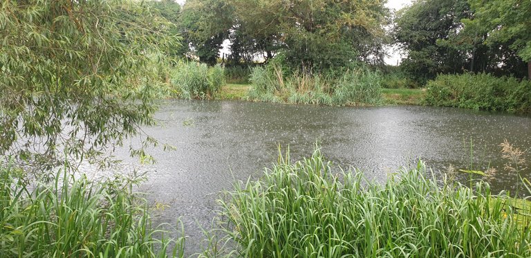 20230708_093413.jpg