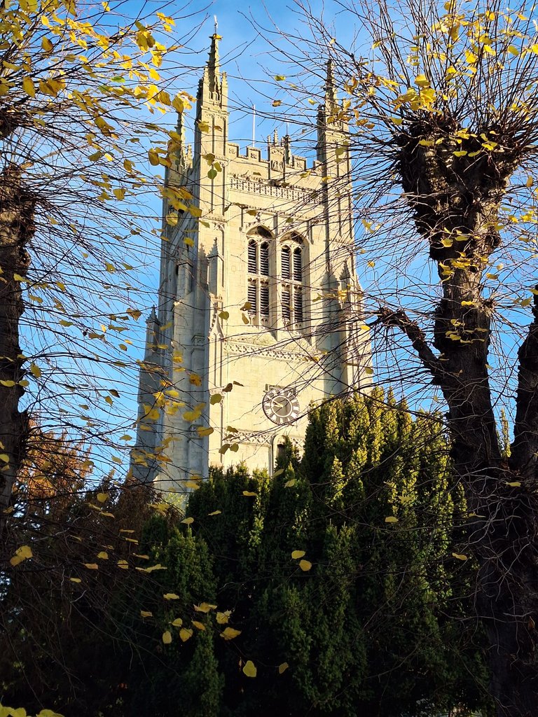 20231119_084830.jpg