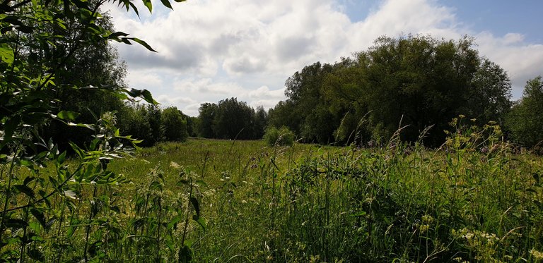 20230603_101916.jpg